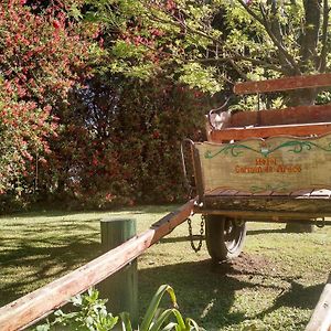 Hotel Carmen De Areco